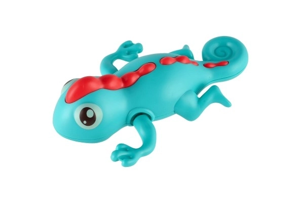 Wind-Up Water Chameleon Toy