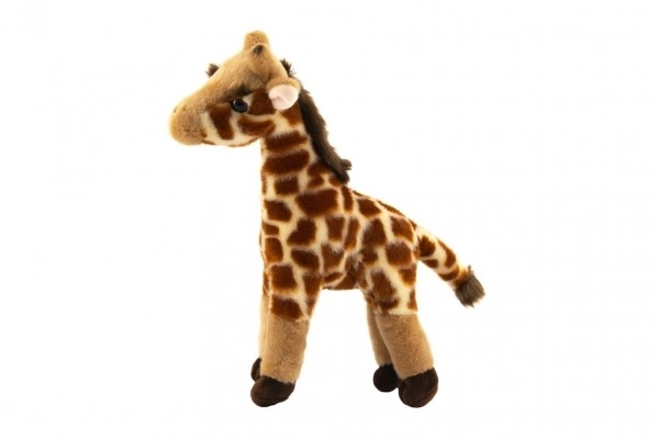 Plush Giraffe Toy