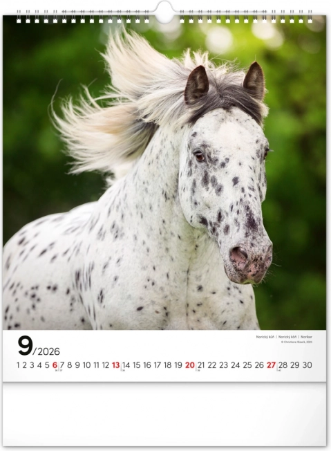 Vægkalender Heste 2026