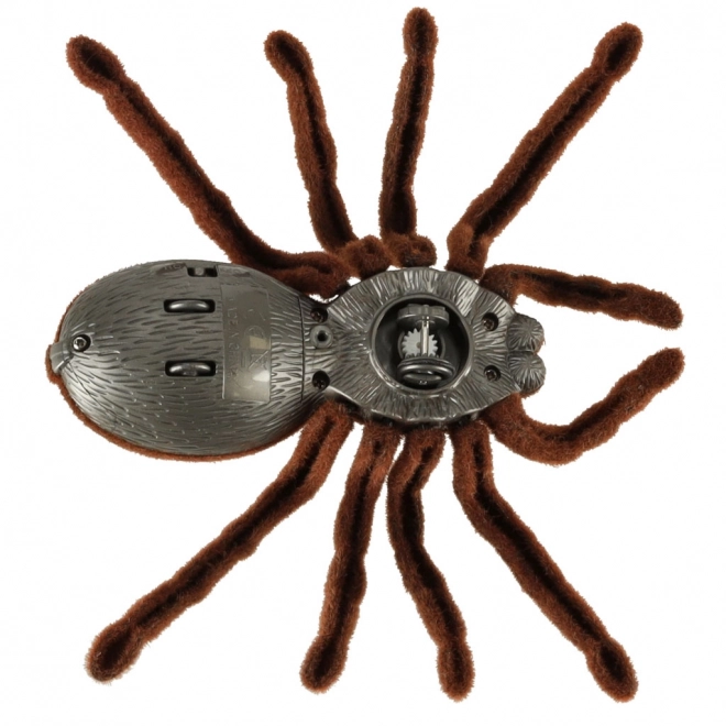 Remote Control Tarantula Spider Robot