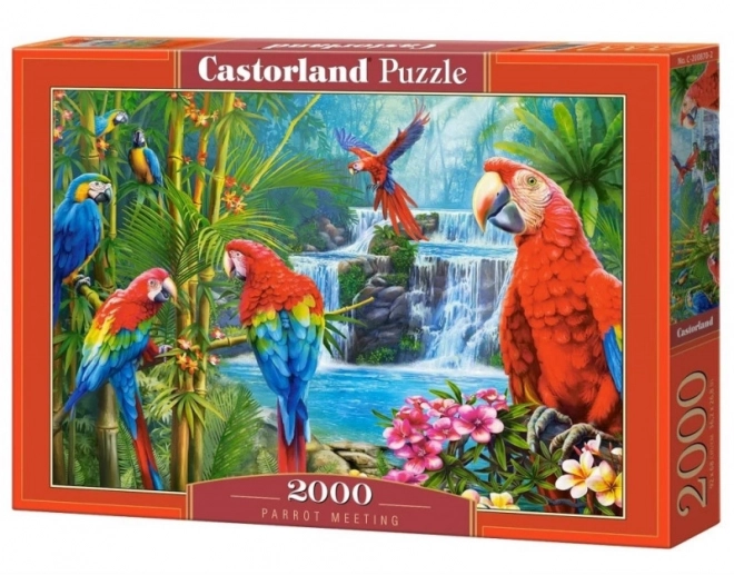 Parrot Meeting 2000 Piece Jigsaw Puzzle