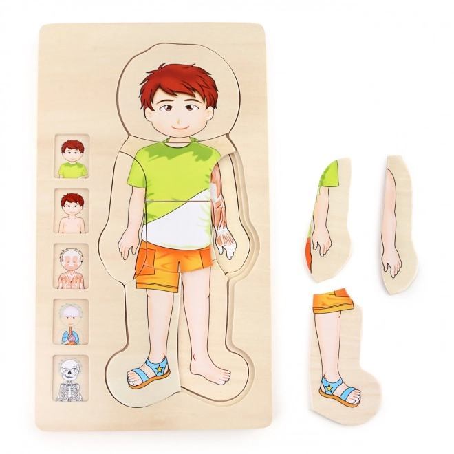 Small Foot Wooden Puzzle Anatomy Tim