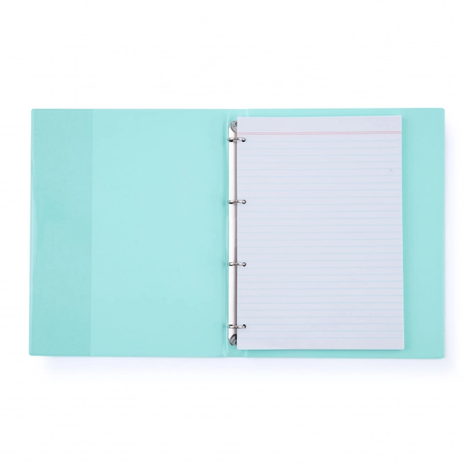 Karis A4 Pastel Green Notebook Binder