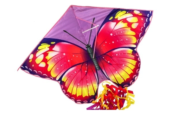 Flying Butterfly Kite