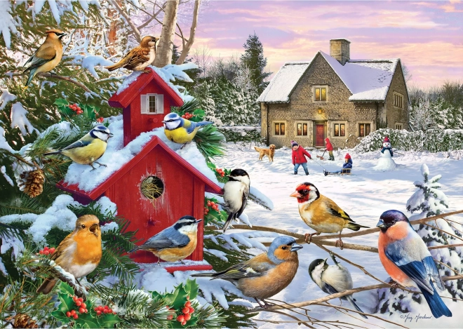 GIBSONS Puzzle Winter Wings 1000 pieces