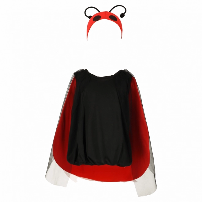 Children's Ladybug Costume