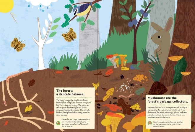 Nature Activity Sticker Book - In the Forest