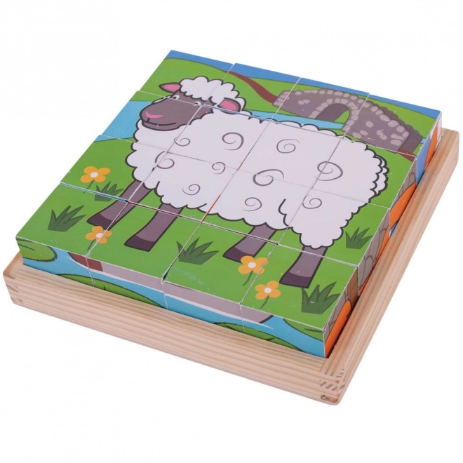 Farm Picture Wooden Blocks