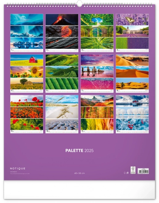 Wall Calendar Palette 2025