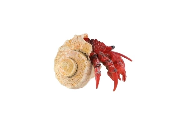 Hermit Crab Toy in Plastic 7cm