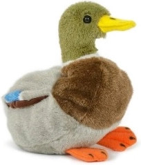 Plush Wild Duck Drake 18 cm