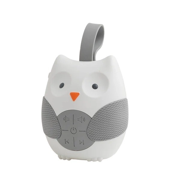 Interactive Musical Owl Toy