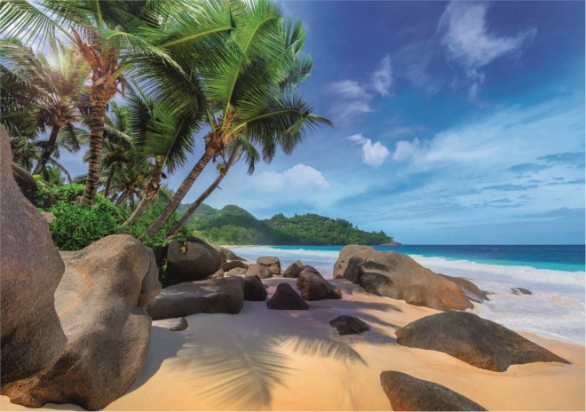 Beautiful exotic beach motif