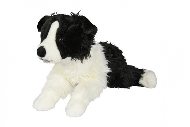 Plush Border Collie