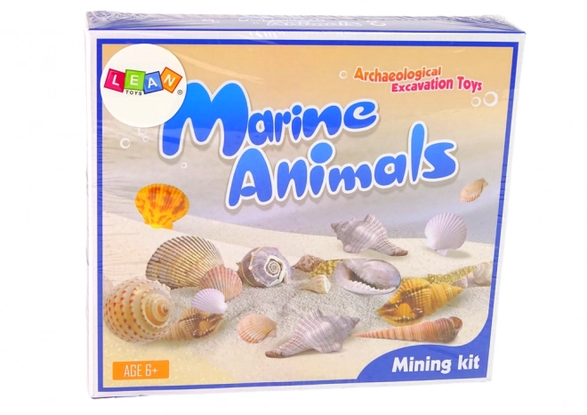 Marine Fossil Discovery Kit