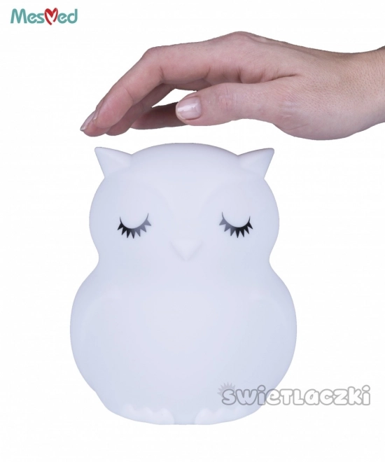 Silicone Night Light With Remote Owl