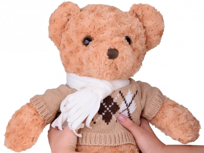 Soft Plush Teddy Bear in Sweater and Scarf