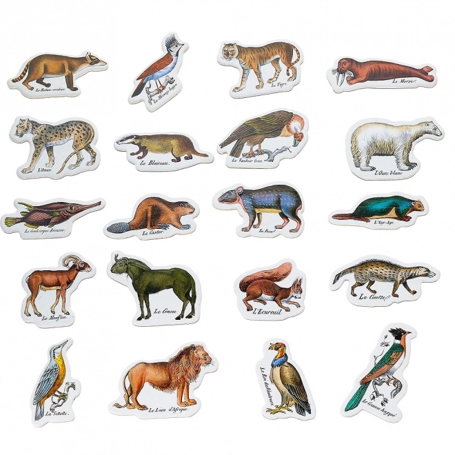 Zoo Animal Magnets Vilac