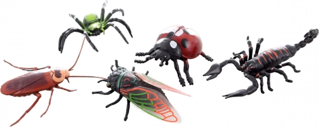 Insect Set for Children