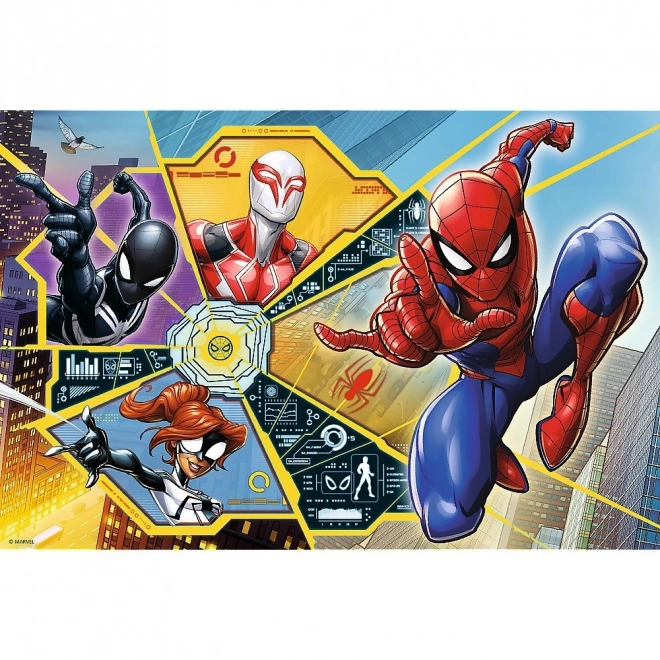 Spiderman Puzzle: On the Web