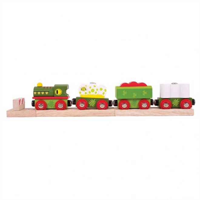 Bigjigs Rail Dinosaur Train Set