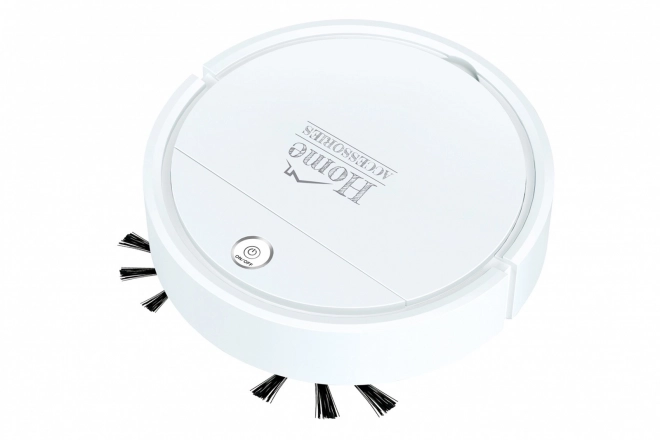 Robot vacuum cleaner Home