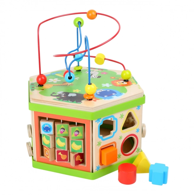 Large Safari Adventure Activity Cube