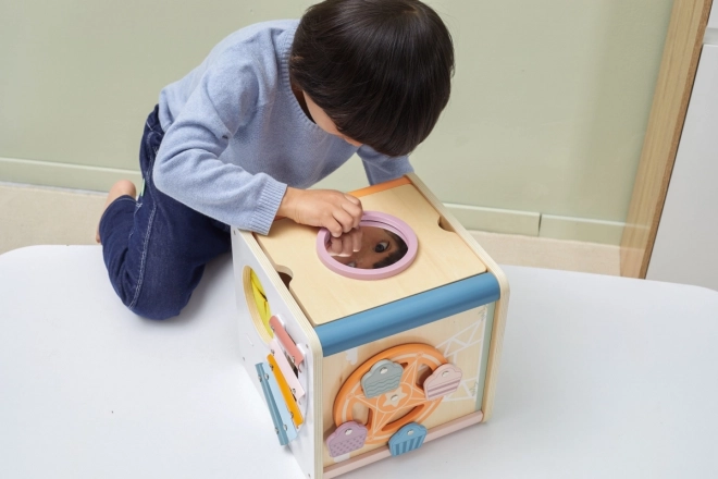 8-in-1 Wooden Activity Cube