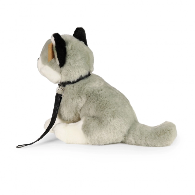 Plush Husky Dog with Leash