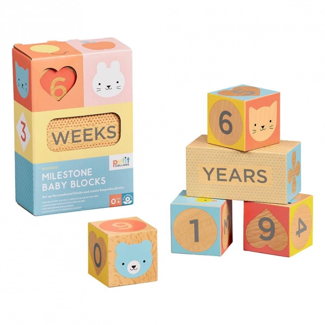 Milestone Blocks for Kids Photography