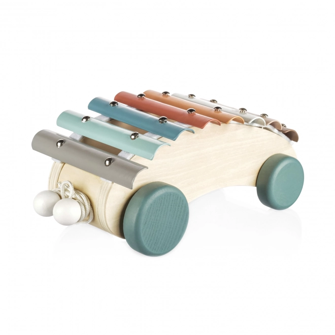 Wooden Pull-Along Xylophone for Kids