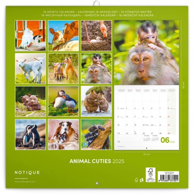 Notique Cute Animal Calendar 2025