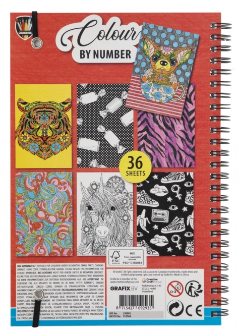 Paint by Numbers Coloring Set