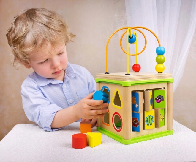 Bino Activity Cube 5 in 1