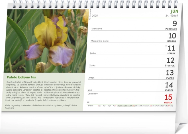 Gardener's Desk Calendar 2025