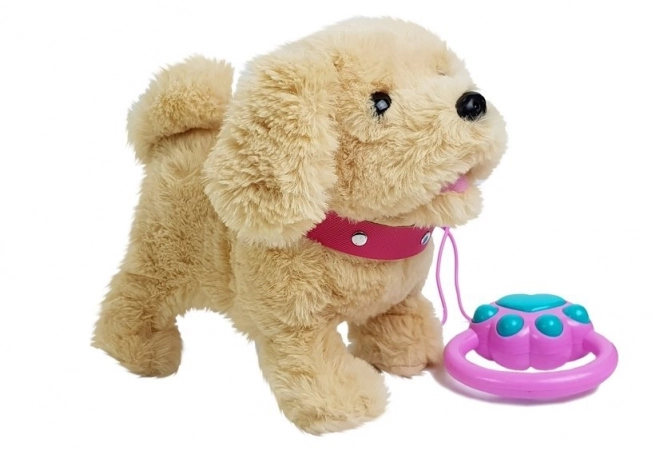 Plush Puppy on a Leash with Accessories
