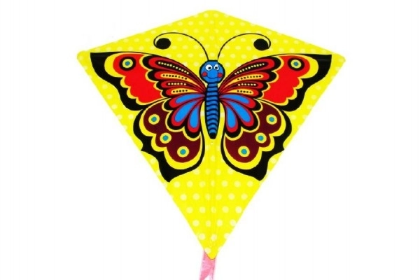 Flying Butterfly Kite