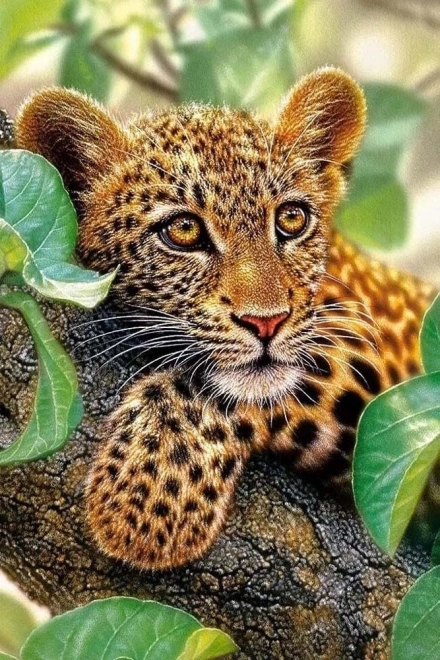 Diamond Painting Kit Leopard 30x40cm