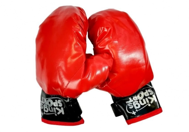 Boxing Set for Kids with Punching Bag and Gloves