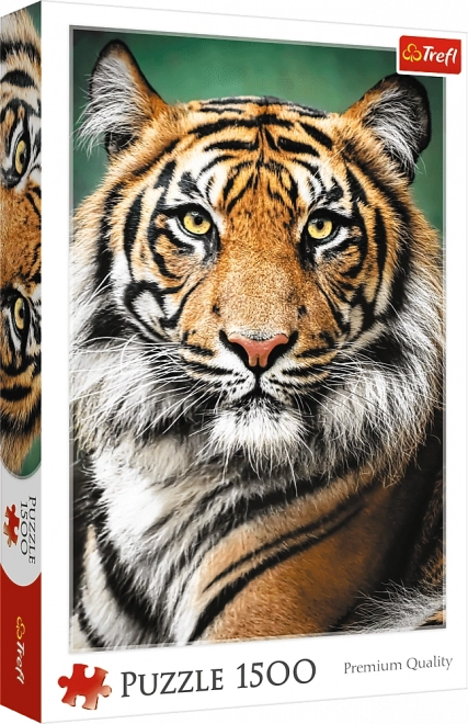 Tiger Portrait Puzzle 1500 Pieces