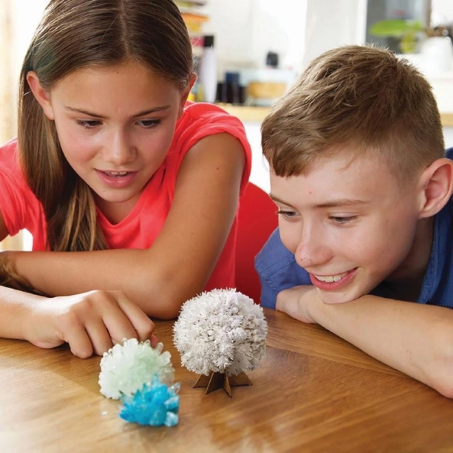 Crystal Growing Science Kit