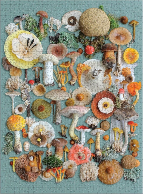 GALISON Puzzle Harvest 1000 Pieces