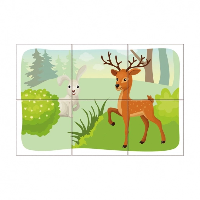 Forest Animals Picture Blocks