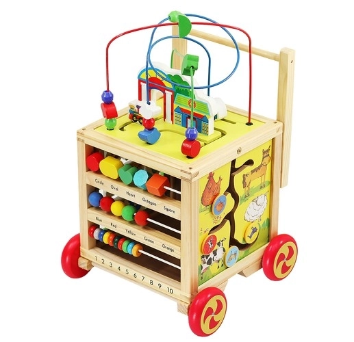 Wooden Push Walker and Educational Cube for Kids