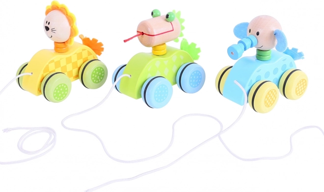 Colorful fun
