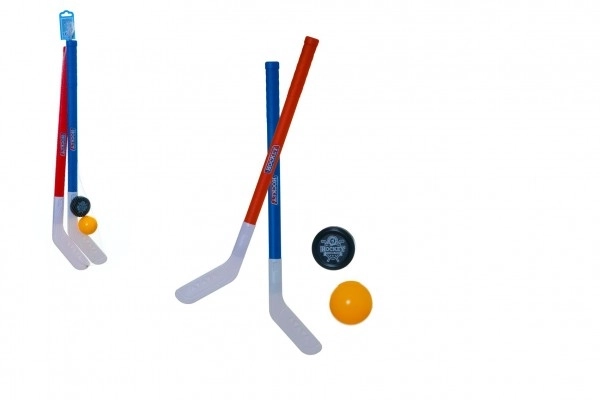 Field Hockey Sticks Set for Kids with Ball and Puck