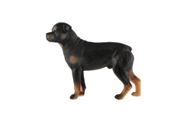 Rottweiler Toy Dog