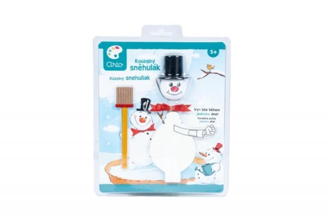 Magic Snowman Craft Kit