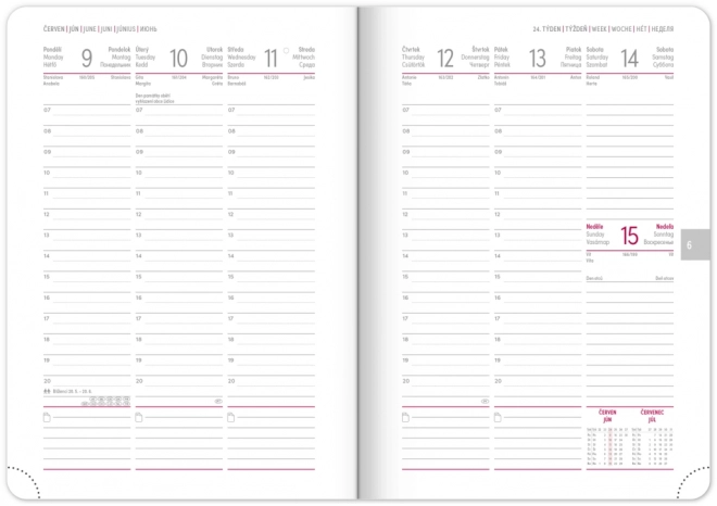 Weekly Planner Aprint Neo 2025 Pink