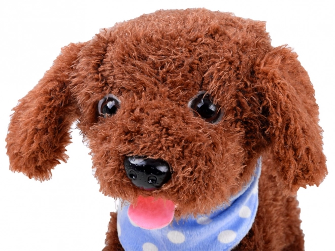 Interactive Plush Puppy – B